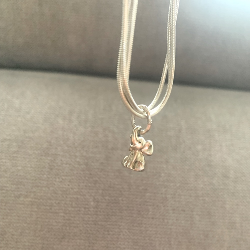 Pandora charm